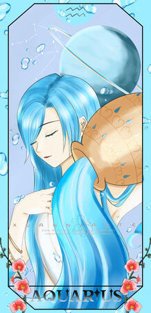 250219 Zodiac Aquarius card